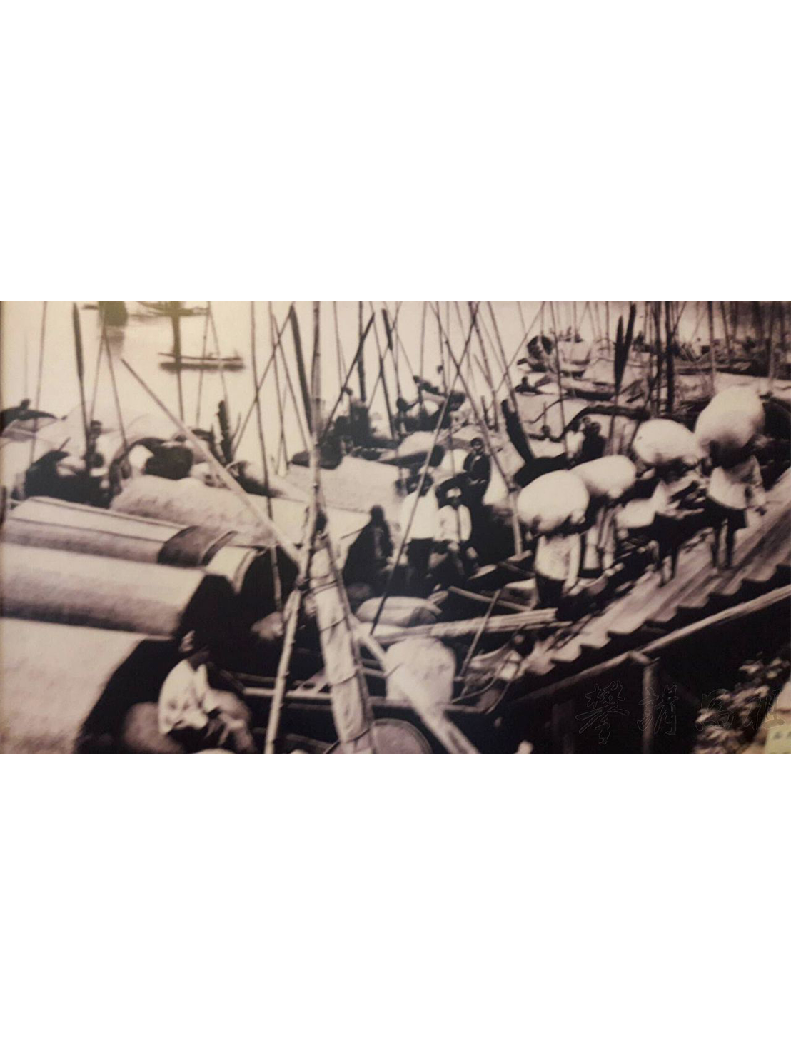 說解「榕詩」〈八月十五晡〉