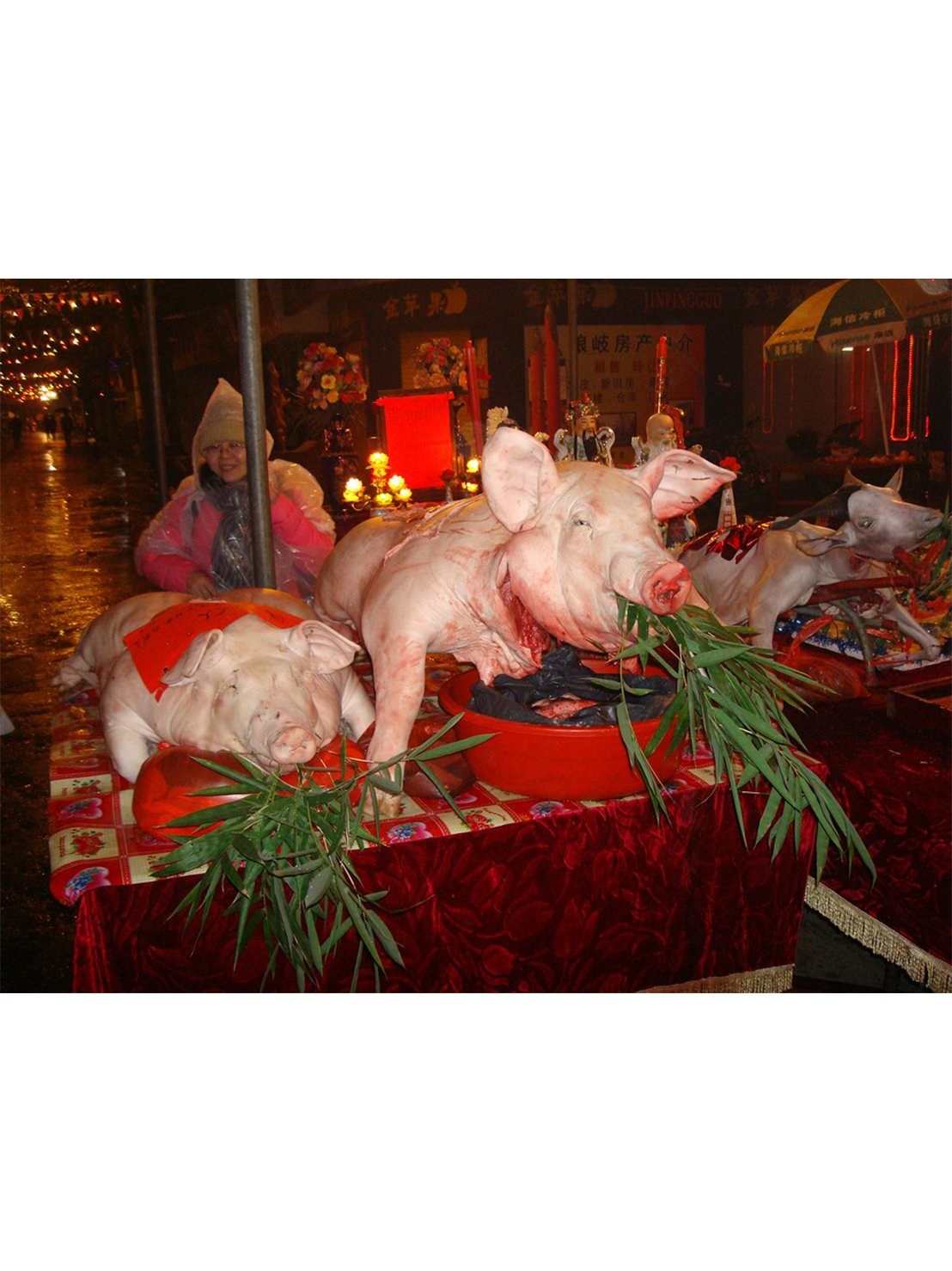 馬祖俗諺語珠璣：借豬頭擺暝­­，齊好看