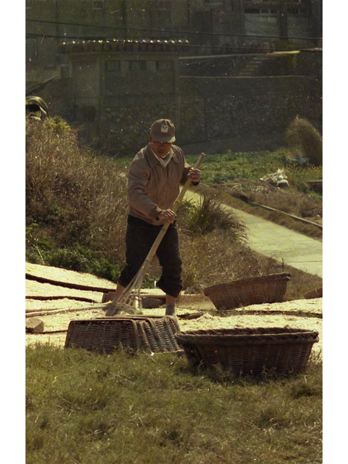 說「馬祖醬油」—-蝦鮮瀂（滷）