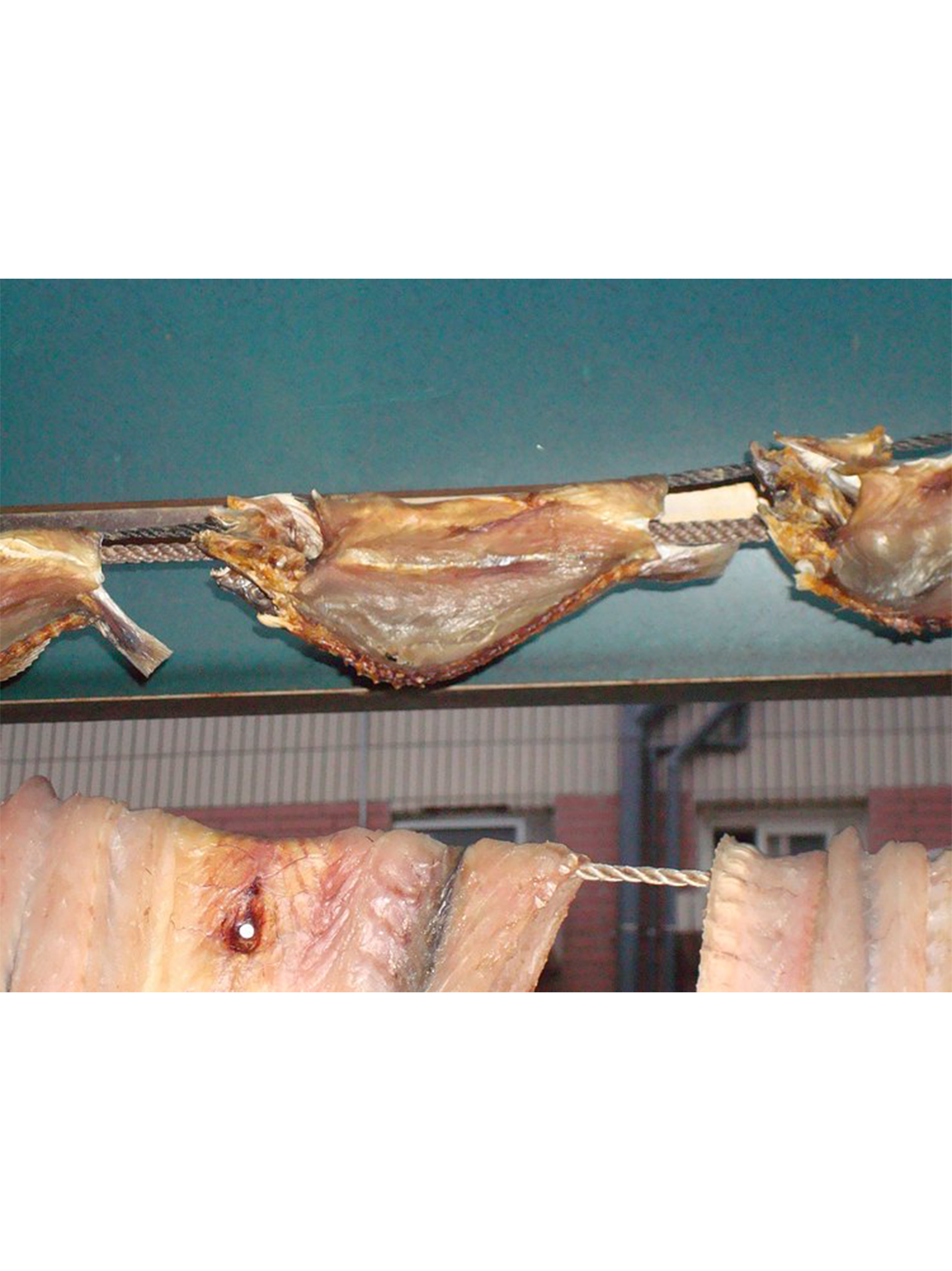 曝鹹魚（曬鹹魚）